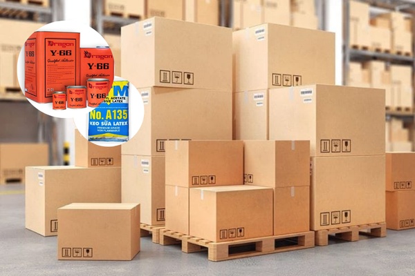 Các Loại Keo Dán Giấy Cứng Phổ Biến và Ứng Dụng Hiệu Quả