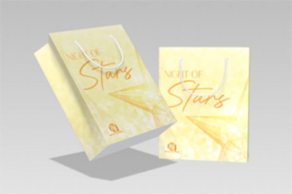 Mẫu túi đựng trà shan long đẹp, thiết kế theo yêu cầu