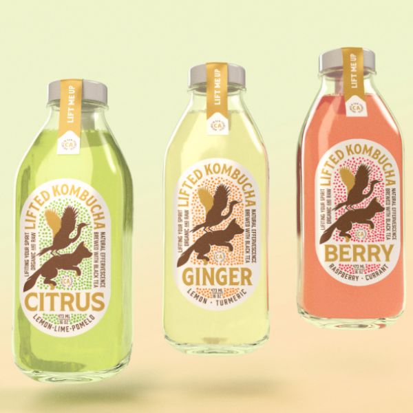 In tem nhãn kombucha đẹp, thiết kế theo yêu cầu