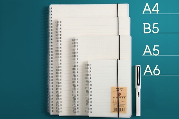 In Hoa Long tìm hiểu kích thước khổ giấy b là gì