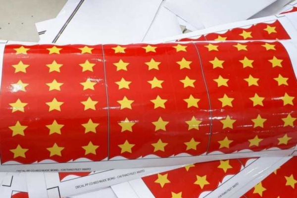 Mẫu in sticker dán má decal nhựa