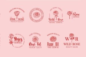 In Hoa Long nhận thiết kế và in ấn mẫu logo kem body cao cấp