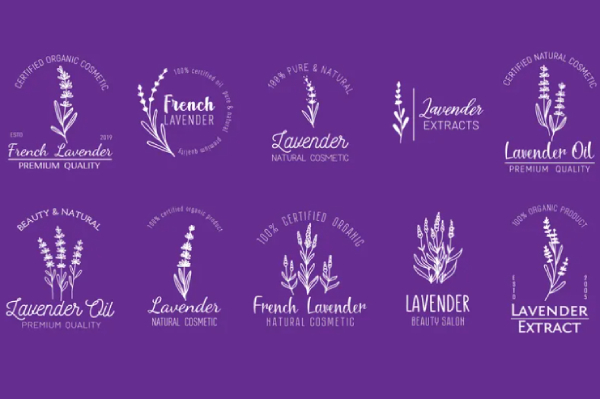 In Hoa Long nhận thiết kế và in ấn mẫu logo kem body số lượng ít