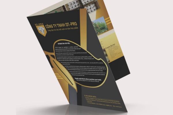 Mẫu phiếu bảo hành nội thất đẹp, thiết kế theo yêu cầu