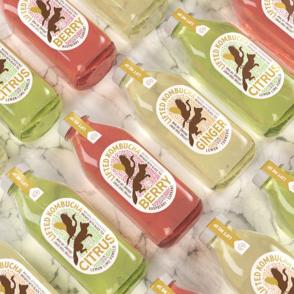 In tem nhãn kombucha đẹp, thiết kế theo yêu cầu