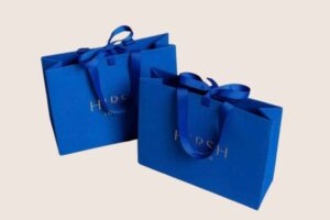 Thư viện mẫu túi giấy quai lụa đẹp mắt ấn tượng