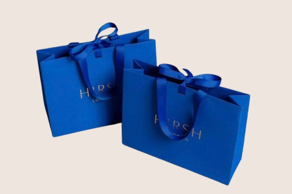 Thư viện mẫu túi giấy quai lụa đẹp mắt ấn tượng