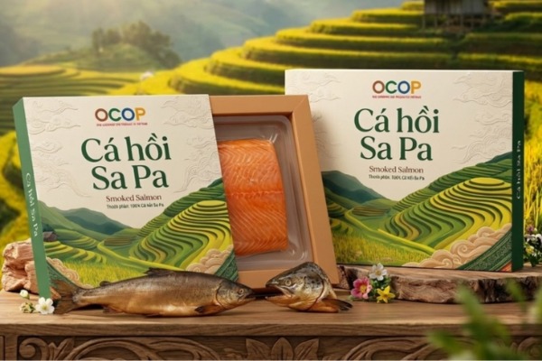 30+ Mẫu in hộp giấy đựng ruốc cá hồi đẹp mắt, thu hút ánh nhìn