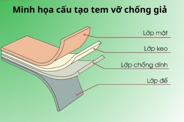 Cấu tạo tem vỡ