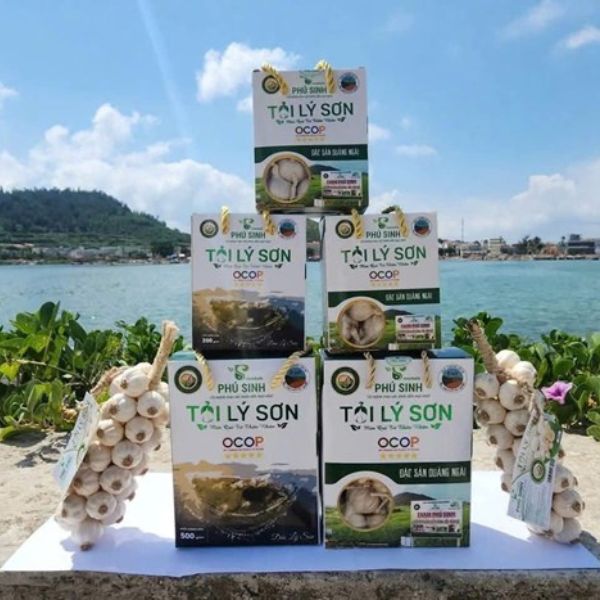 In hộp giấy đựng tỏi Lý Sơn In hộp giấy đựng tỏi Lý Sơn theo yêu cầu