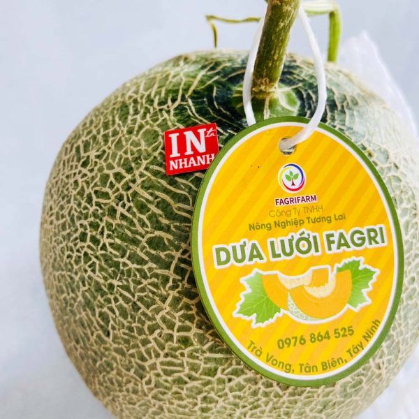 In tag treo dưa lưới đẹp, chất lượng cao