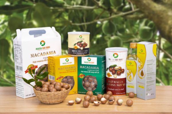 Mẫu bao bì hạt macca đẹp, thiết kế theo yêu cầu