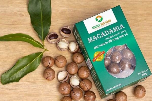 Mẫu bao bì hạt macca đẹp, thiết kế theo yêu cầu