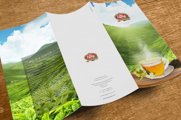 In Hoa Long nhận thiết kế và in ấn mẫu brochure trà gấp ba