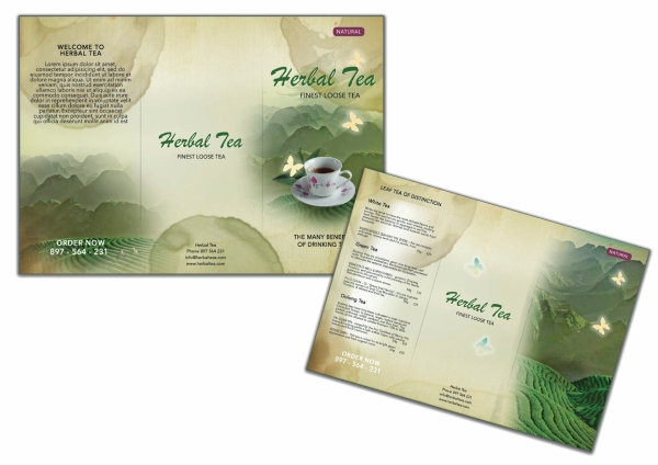 In Hoa Long nhận thiết kế và in ấn mẫu brochure trà giá rẻ