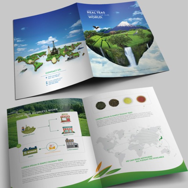 In Hoa Long nhận thiết kế và in ấn mẫu brochure trà lấy ngay