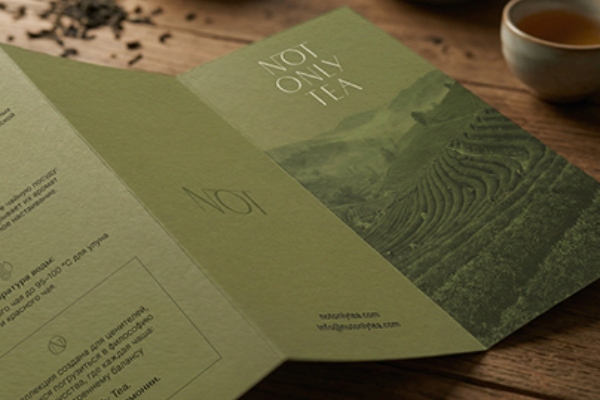 In Hoa Long nhận thiết kế và in ấn mẫu brochure trà sang trọng
