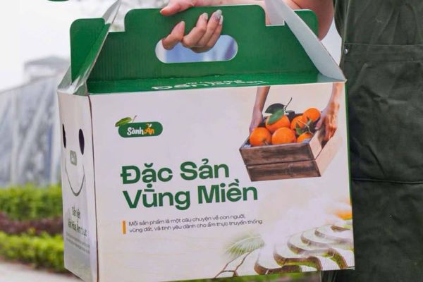 Mẫu hộp carton đựng cam đẹp, chuyên nghiệp