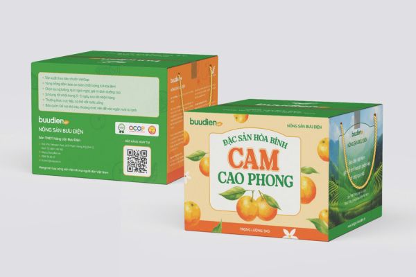 Mẫu hộp carton đựng cam đẹp, chuyên nghiệp