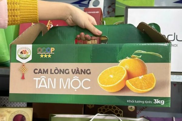 Mẫu hộp carton đựng cam đẹp, chuyên nghiệp