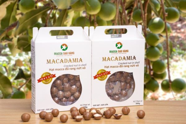 Mẫu bao bì hạt macca đẹp, thiết kế theo yêu cầu