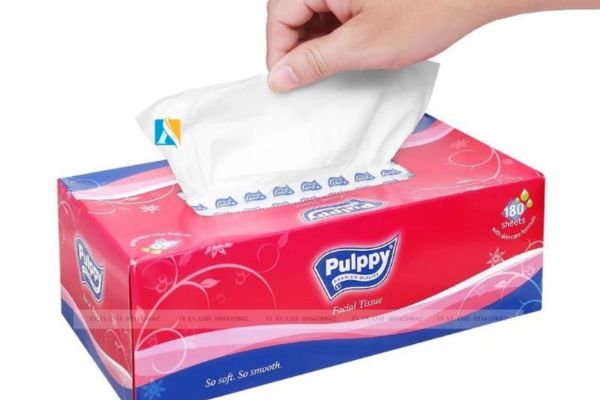 Mẫu hộp giấy đựng khăn giấy đẹp, chất lượng cao