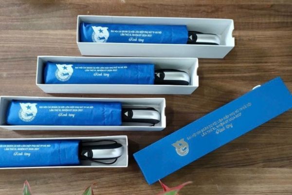 Mẫu hộp đựng ô dù giá rẻ, mẫu đẹp