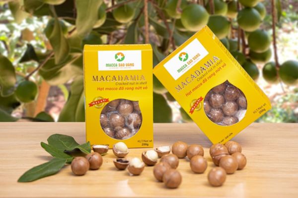 Mẫu bao bì hạt macca đẹp, thiết kế theo yêu cầu