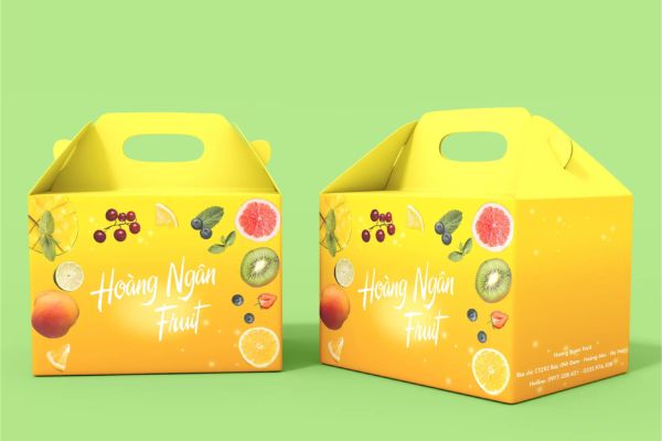 Mẫu hộp carton đựng cam đẹp, chuyên nghiệp