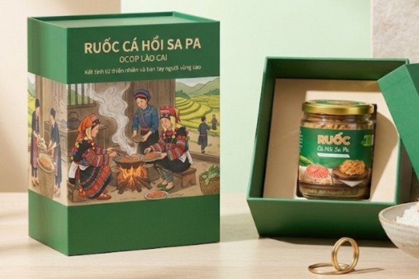Mẫu in hộp giấy đựng ruốc cá hồi đẹp mắt