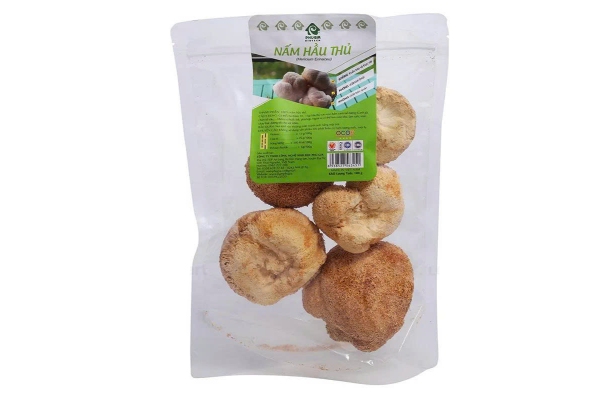 Mẫu tem nhãn nấm hầu thủ phong cách organic