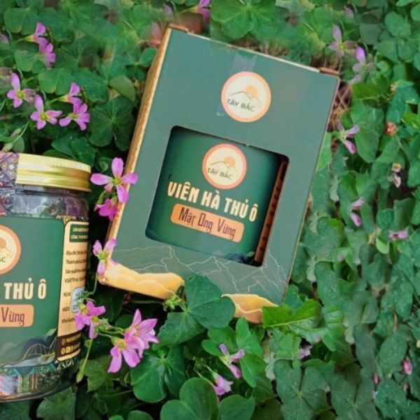 Bao bì viên hà thủ ô đẹp, chất lượng cao