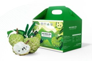 In hộp carton đựng na đẹp, thiết kế theo yêu cầu