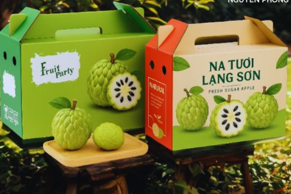 In hộp carton đựng na đẹp, thiết kế theo yêu cầu