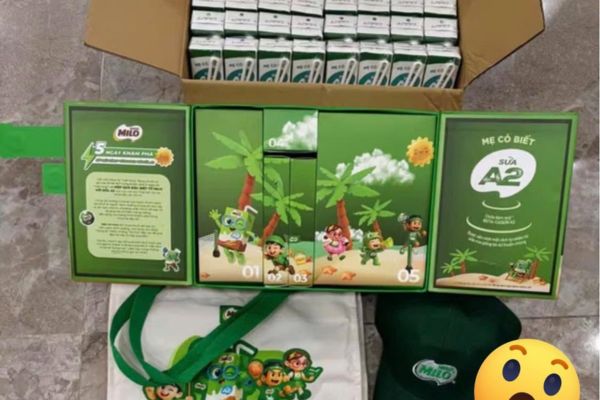Hộp giấy quà tặng Milo đẹp, giá rẻ