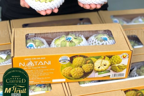 In hộp carton đựng na đẹp, thiết kế theo yêu cầu