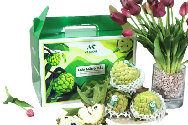 In hộp carton đựng na đẹp, thiết kế theo yêu cầu