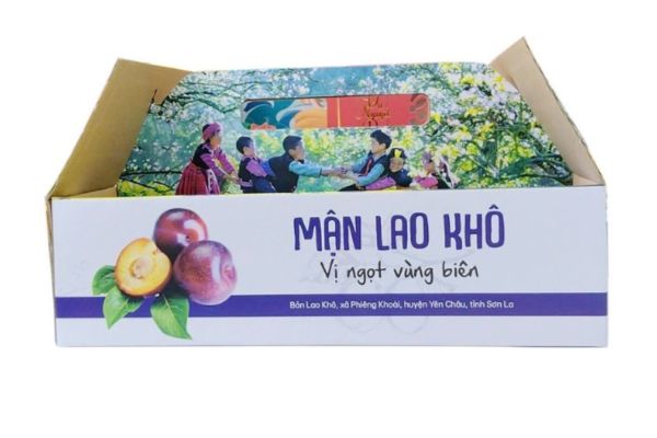 In hộp đựng mận đẹp, thiết kế theo yêu cầu