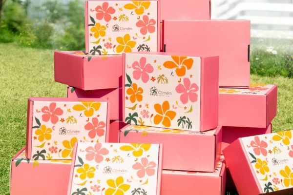 Vỏ hộp quà tặng cỏ mềm đẹp, thiết kế theo yêu cầu