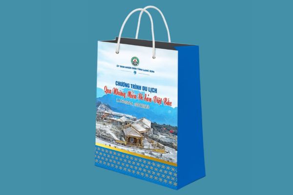 In túi giấy du lịch giá rẻ, theo yêu cầu