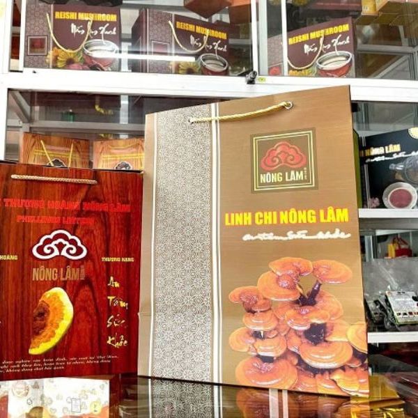 In túi giấy đựng nấm giá rẻ, thiết kế theo yêu cầu