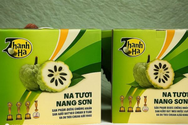 In hộp carton đựng na đẹp, thiết kế theo yêu cầu
