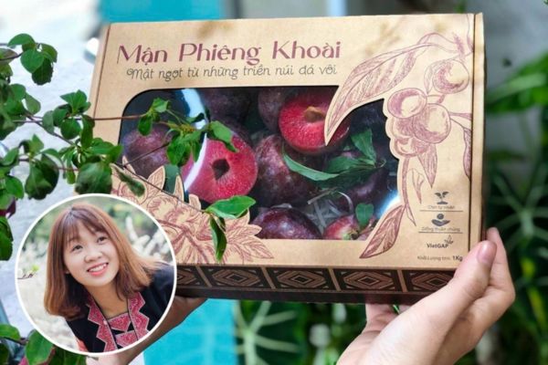 In hộp đựng mận đẹp, thiết kế theo yêu cầu