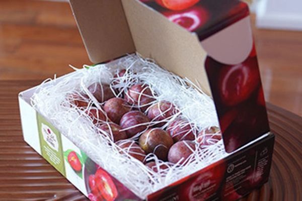 In hộp đựng mận đẹp, thiết kế theo yêu cầu