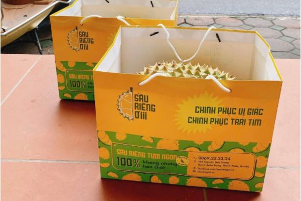 Mẫu túi đựng sầu riêng đẹp, chất lượng cao