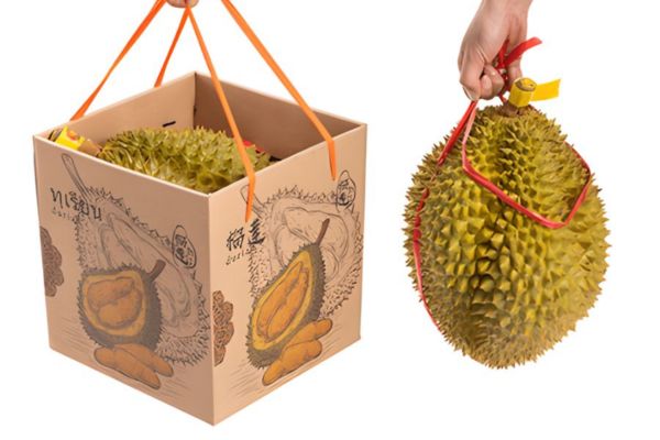 Mẫu túi đựng sầu riêng đẹp, chất lượng cao