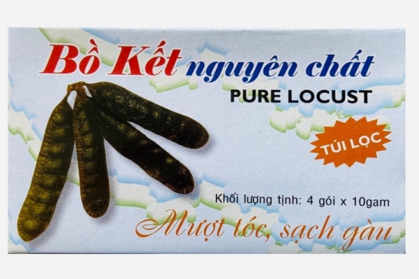 Mẫu hộp giấy đựng bồ kết túi lọc mộc mạc