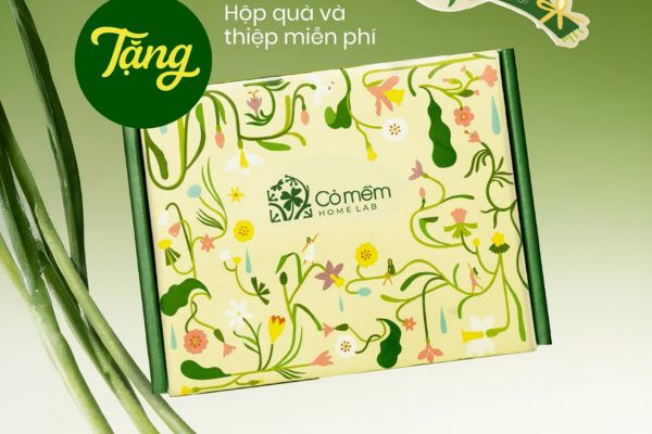 Vỏ hộp quà tặng cỏ mềm đẹp, thiết kế theo yêu cầu