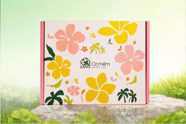 Vỏ hộp quà tặng cỏ mềm đẹp, thiết kế theo yêu cầu