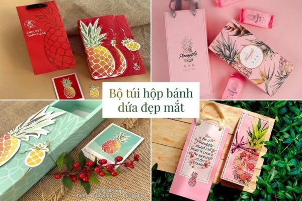 15+ Bộ túi hộp bánh dứa đẹp mắt và nổi bật nhất